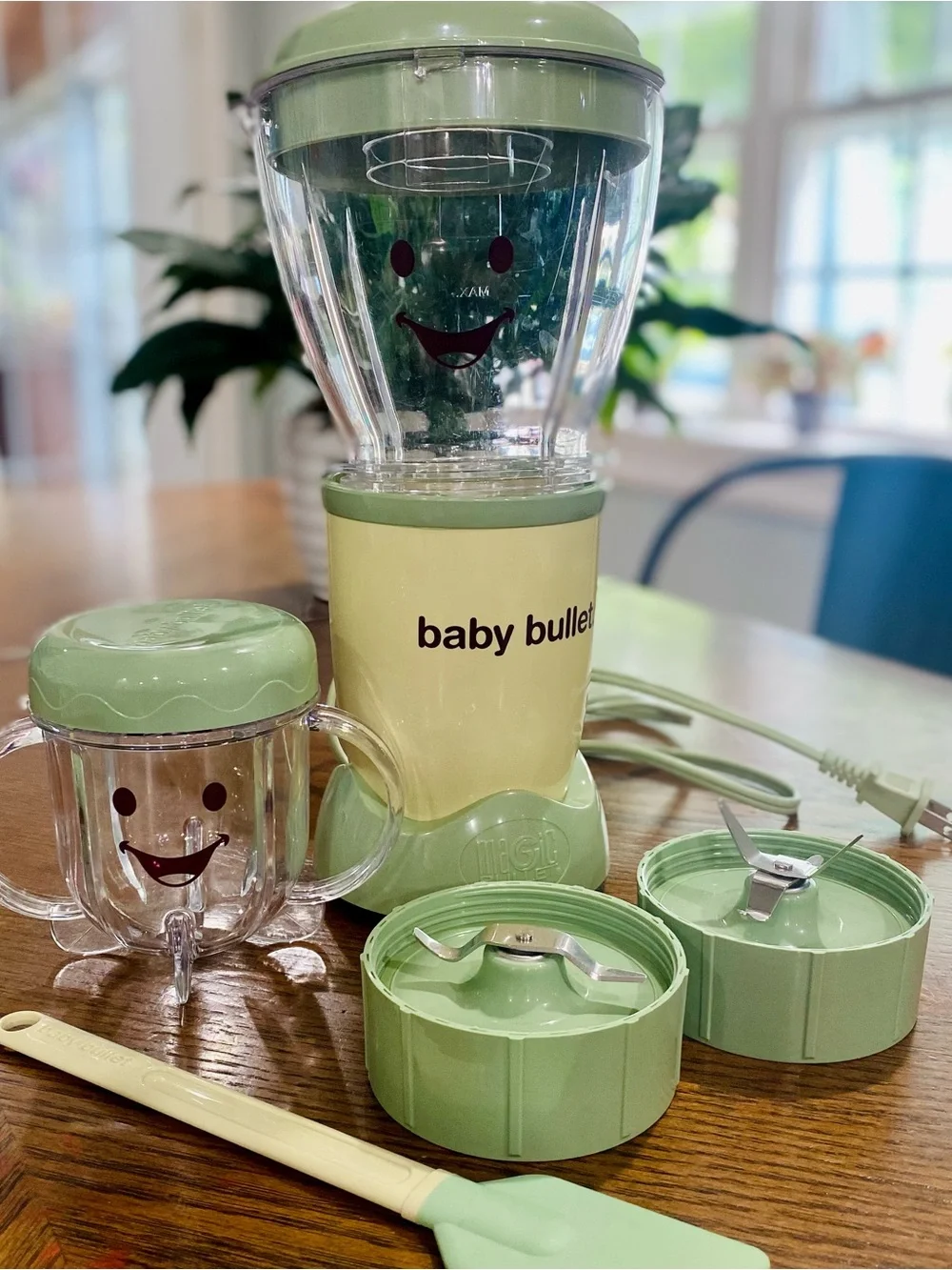 Baby Bullet Baby Food Maker Set in Sage Green